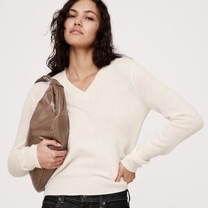 Banana Republic Wool and Angora V-Neck Sweater